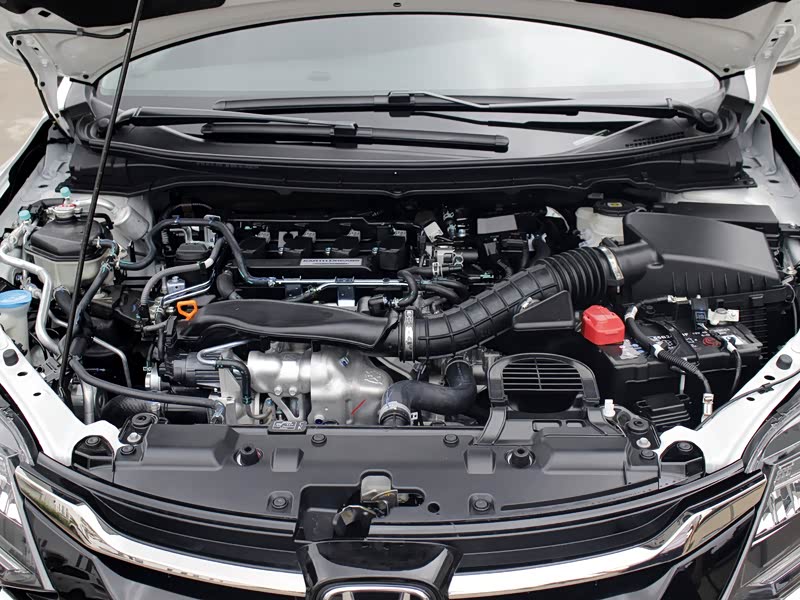 本田杰德存在哪些常见问题？